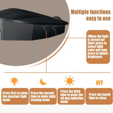 Shell-Shaped Motion Sensor Night Light