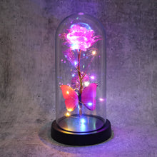 LED Decorative Rose with Butterfly in Transparent Plastic Dome (1 Pc)