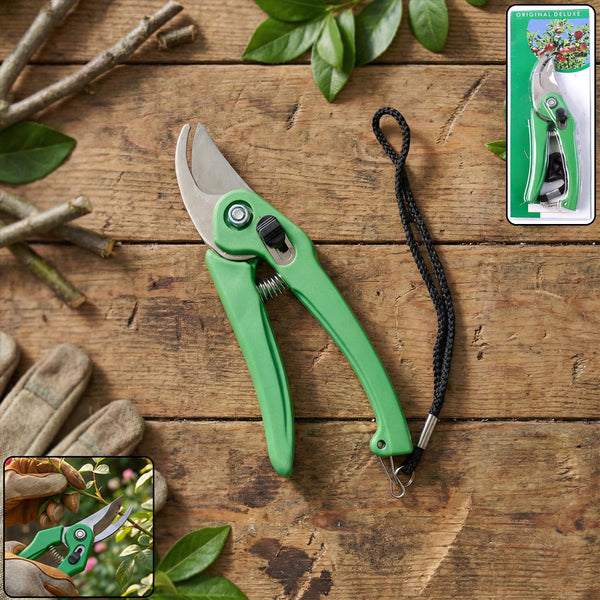 Garden Shears Pruners Scissor for Cutting Branches, Flowers, Leaves, Pruning Seeds